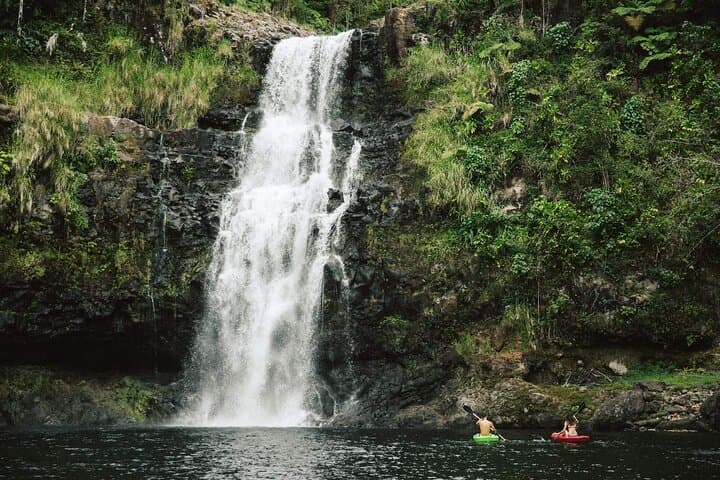 Big Island Waterfalls Tour: Swim Kulaniapia, Akaka Falls & Hawaii Tropical Botanical Garden photo 3