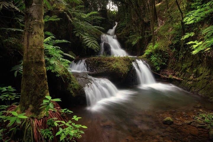 Big Island Waterfalls Tour: Swim Kulaniapia, Akaka Falls & Hawaii Tropical Botanical Garden photo 4