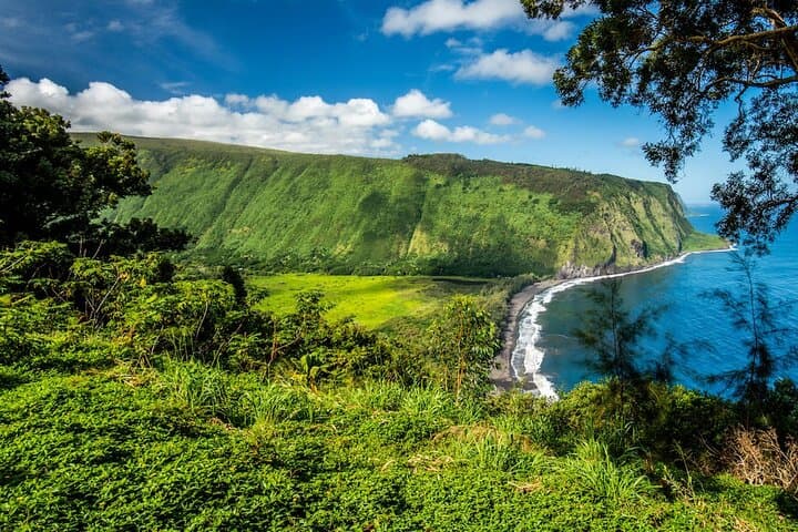 Big Island Waterfalls Tour: Swim Kulaniapia, Akaka Falls & Hawaii Tropical Botanical Garden photo 5