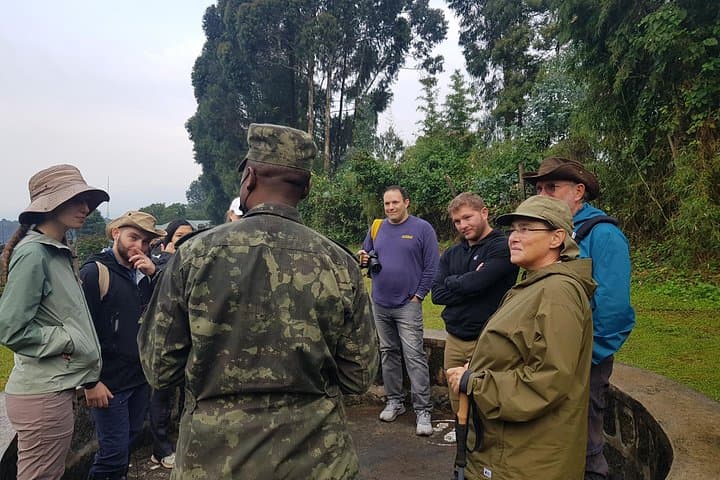 Gorilla Trekking in Volcanoes National Park — Day Trip from Kigali photo 3