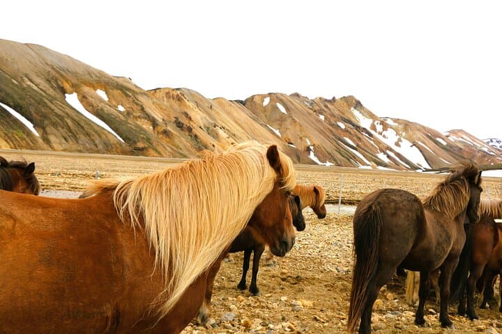 Landmannalaugar Day Tour: Hike, Hot Springs & Háifoss Waterfall photo 5