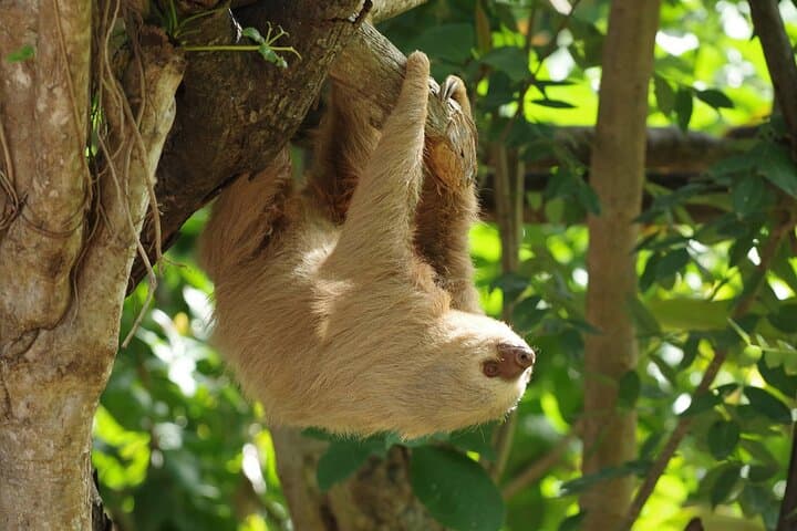 Inside Diamante Eco Adventure Park: Costa Rica’s Sanctuary, Botanical Garden & Traditional House