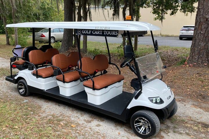 Bonaventure Cemetery Golf Cart Tour: 1-Hour Guided History and Oak-Lined Views in Savannah photo 3