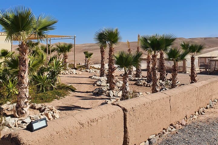 Sunset in Agafay: Camel Ride and Nomad Dinner from Marrakech photo 5