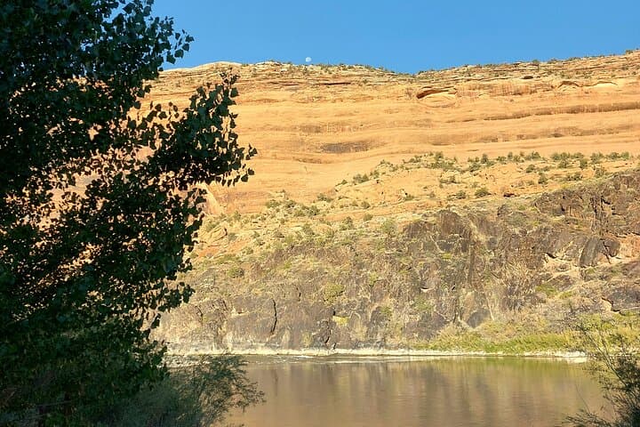Westwater Canyon Full-Day Rafting from Moab — Class III–IV Colorado River Adventure photo 3