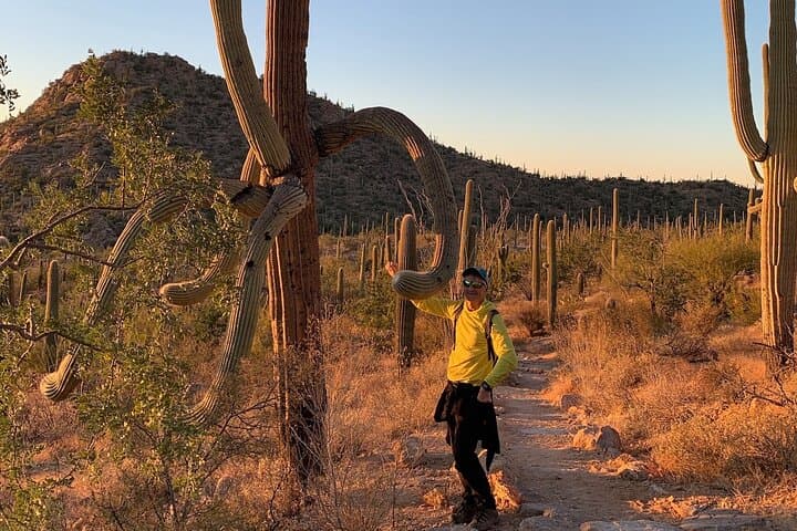 Guided Hikes in Saguaro National Park: Explore Sonoran Desert to Pine-Forest Ridges photo 2