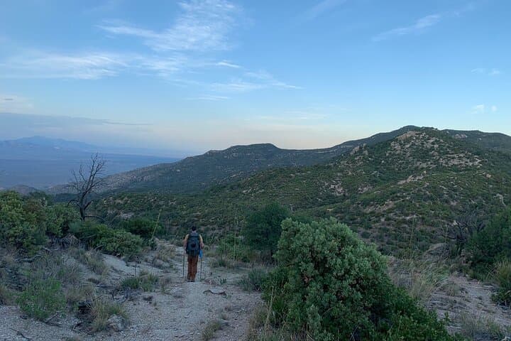 Guided Hikes in Saguaro National Park: Explore Sonoran Desert to Pine-Forest Ridges photo 4