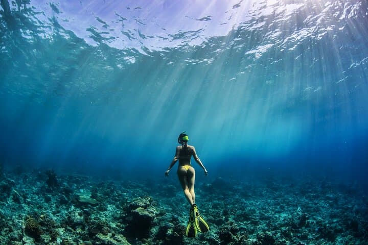Cenote Cristalino: 1-Hour Underwater Photo Session in the Mayan Riviera photo 2