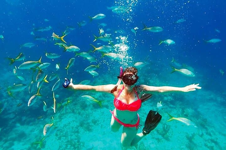 Mono Loco Catamaran Snorkel & Lunch — West End, Roatán