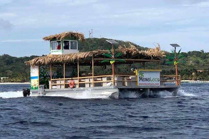 Sunset Catamaran Snorkel & BBQ Cruise — Roatan's West Bay Experience