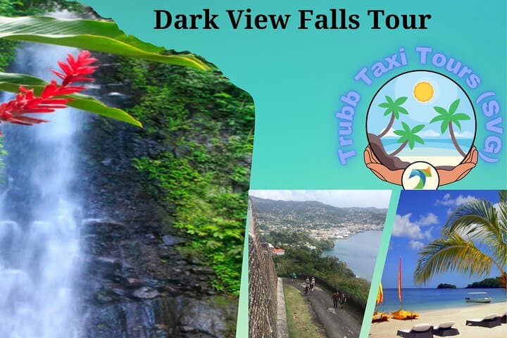 Dark View Falls Tour: Fort Charlotte, Rainforest Hike & Buccament Bay Soak photo 2