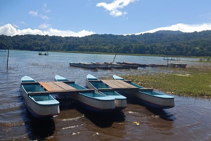 Custom Bali Private Day Tour — Ubud, Beaches & East Bali Highlights photo 4
