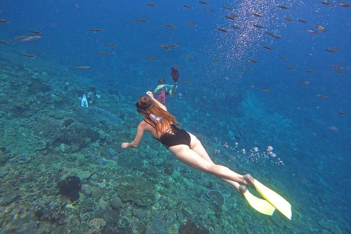 Snorkel Nusa Lembongan & Penida: Manta Bay Day Trip from Sanur photo 4