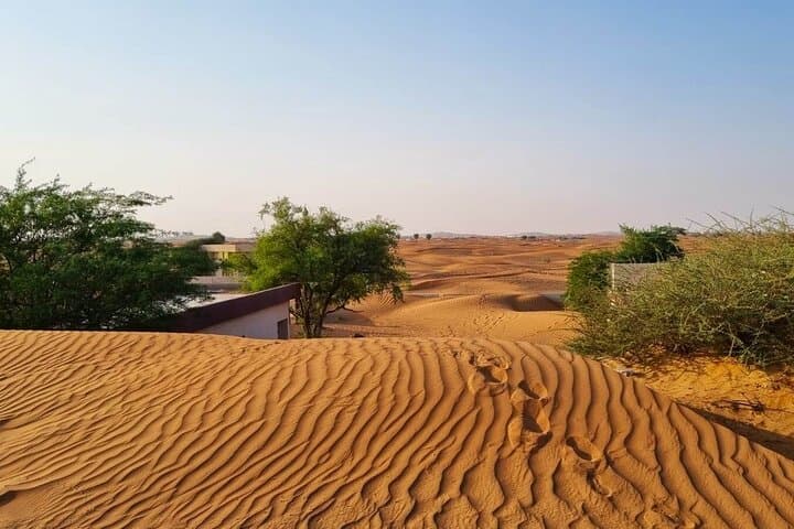Al Madam Ghost Village Desert Safari with Bedouin Camp & BBQ Dinner photo 3