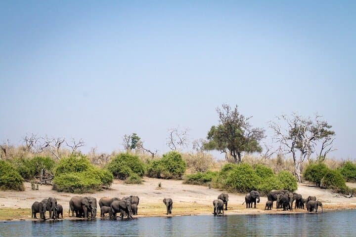 Chobe National Park Day and Overnight Game Safari: Boat and Jeep Wildlife Experience photo 5