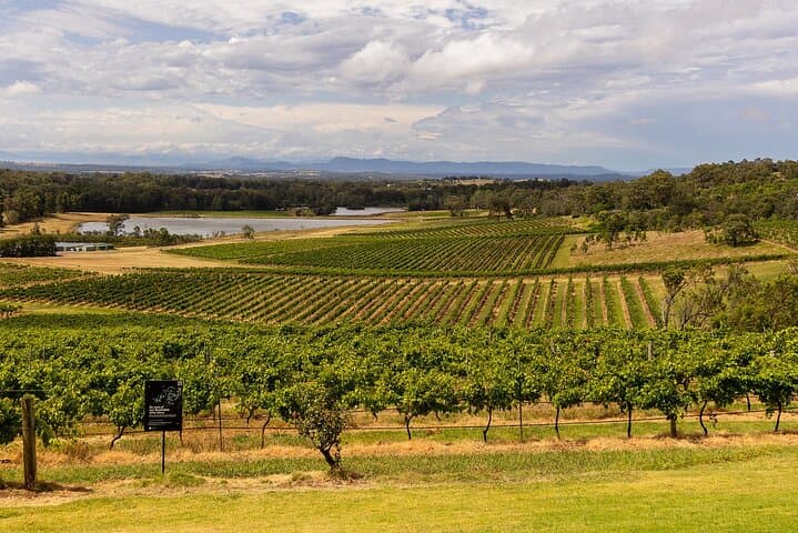 Hunter Valley Private Wine Tour: Customisable Tastings & Boutique Cellar Doors photo 3