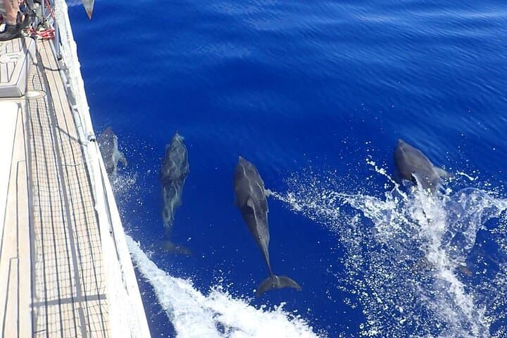 Private Full-Day Yacht Cruise from Naxos: Blue Lagoon, Rina Cave & Small Cyclades
