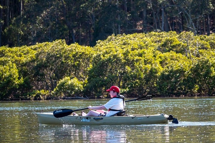 Bermagui River Kayak Tour: Morning Paddle Through Mangroves & Birdlife photo 4