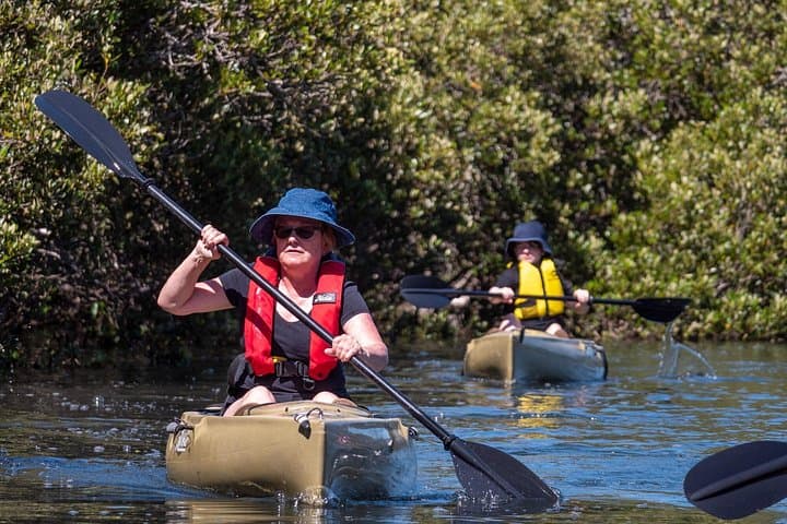Bermagui River Kayak Tour: Morning Paddle Through Mangroves & Birdlife photo 5