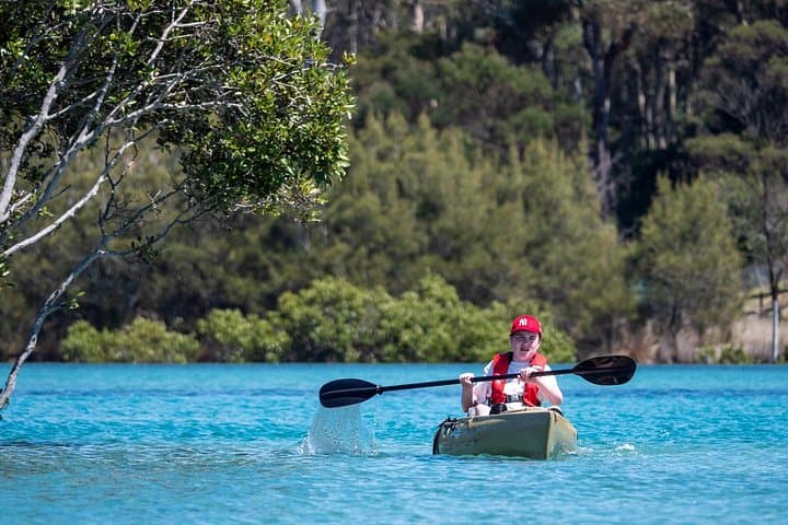Bermagui River Kayak Tour: Morning Paddle Through Mangroves & Birdlife photo 6