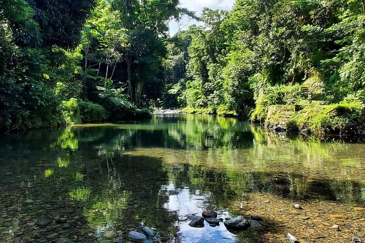 El Yunque Rainforest Zipline and Luquillo Beach Combo Tour from San Juan photo 3