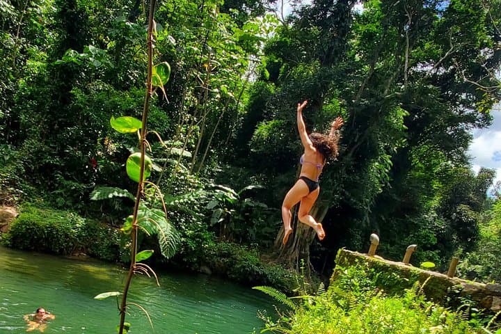 El Yunque Rainforest Zipline and Luquillo Beach Combo Tour from San Juan photo 5