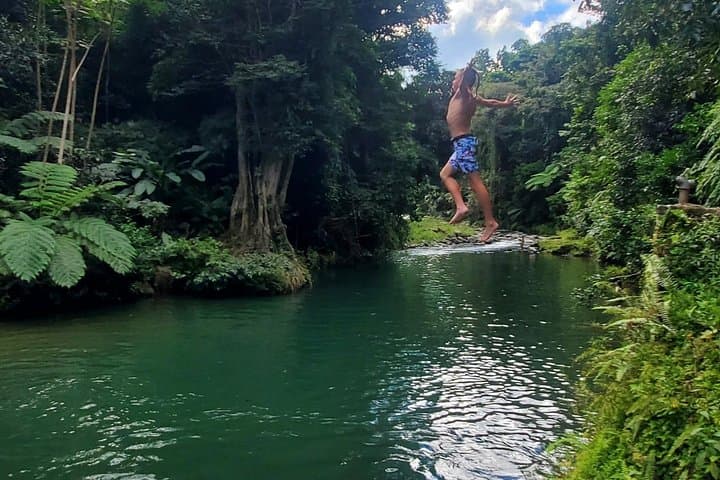 El Yunque Rainforest Zipline and Luquillo Beach Combo Tour from San Juan photo 6