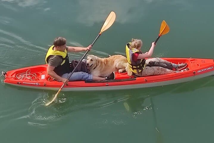 Kayak Day on Skadar Lake: Paddle Virpazar, Lesendro & the Bird Sanctuary photo 2