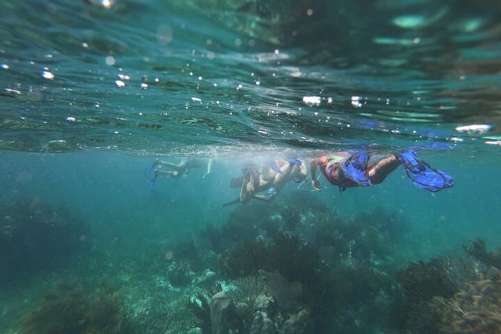 Snorkel Puerto Morelos Reef: Day Trip from Cancun with Lunch photo 6