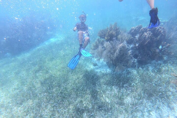 Snorkel Puerto Morelos Reef: Day Trip from Cancun with Lunch photo 5
