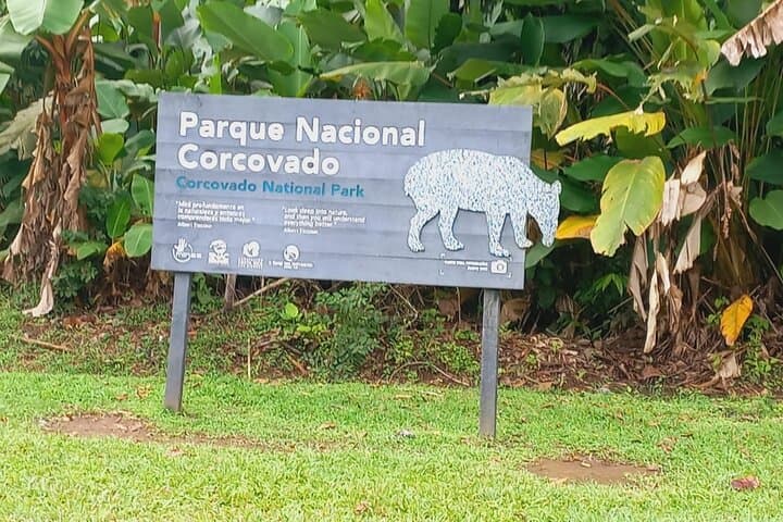 Corcovado Jungle Walk to Sirena Station: Full-Day Wildlife Tour with Lunch