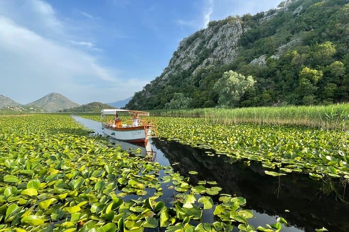 Private Skadar Lake Cruise from Virpazar — Birds, Wild Swimming & Lesendro Fortress photo 6