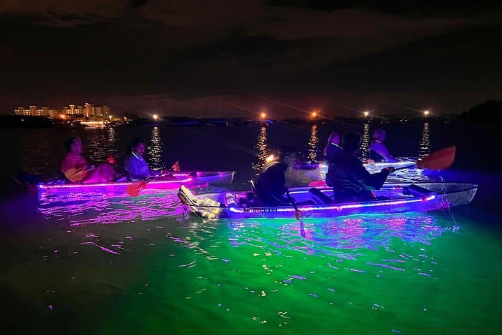 Glow Nights Mangrove Paddle: Illuminated Clear Kayak Tour in Tierra Verde photo 4