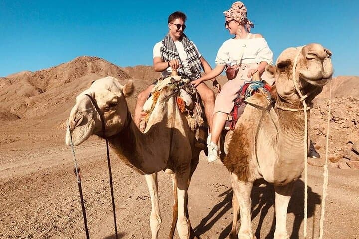Marsa Alam Desert Safari: Jeep, Quad, Camel Rides & Bedouin Dinner Under the Stars photo 2