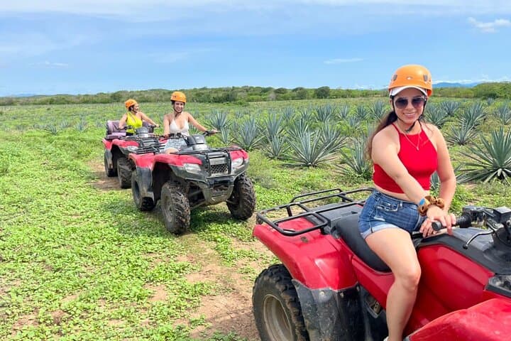 Jungle and Beach ATV Tour in Mazatlán — Ranch Ride, Tequila Tasting & Lunch photo 1