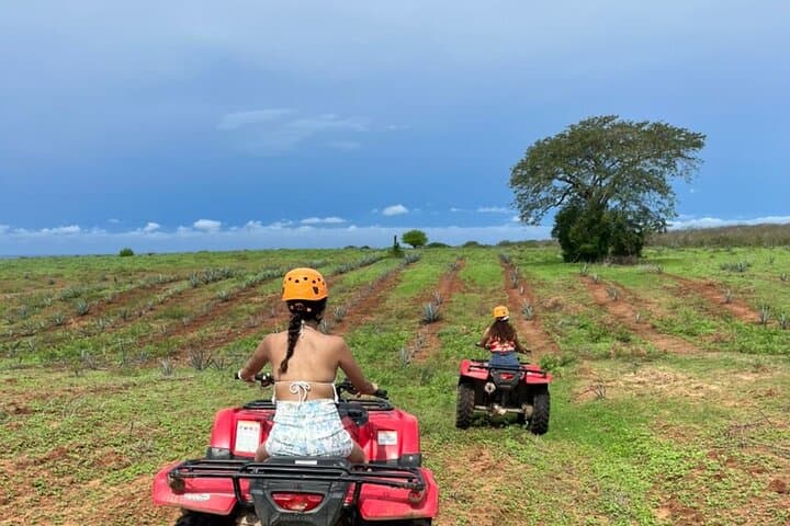 Jungle and Beach ATV Tour in Mazatlán — Ranch Ride, Tequila Tasting & Lunch photo 2