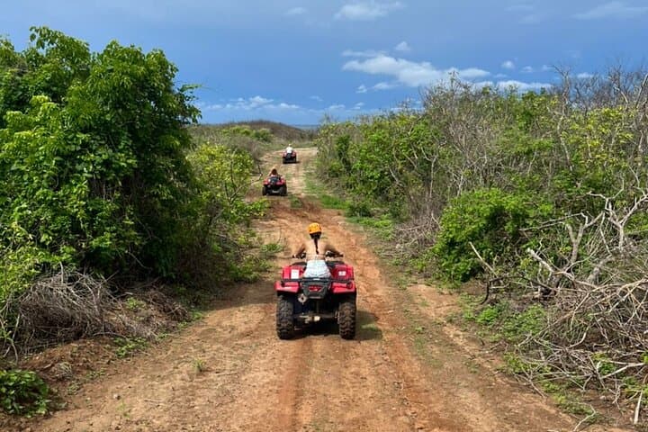 Jungle and Beach ATV Tour in Mazatlán — Ranch Ride, Tequila Tasting & Lunch photo 4