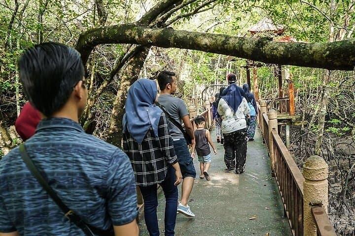 Kilim Mangrove & Limestone Cave Boat Tour — Langkawi UNESCO Geopark photo 4