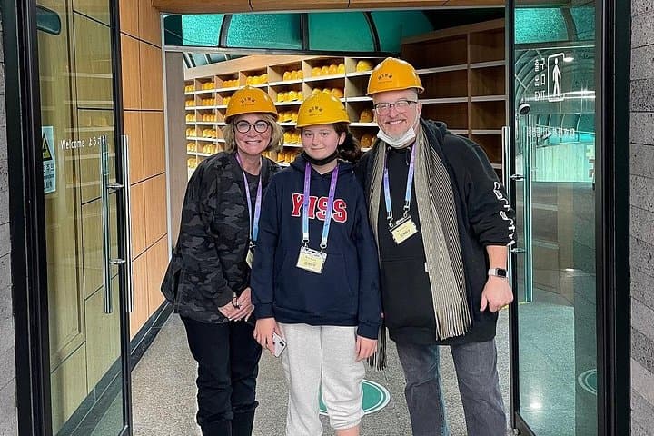 DMZ Tour from Seoul: 3rd Tunnel, Dora Observatory & Majang Lake Suspension Bridge photo 4