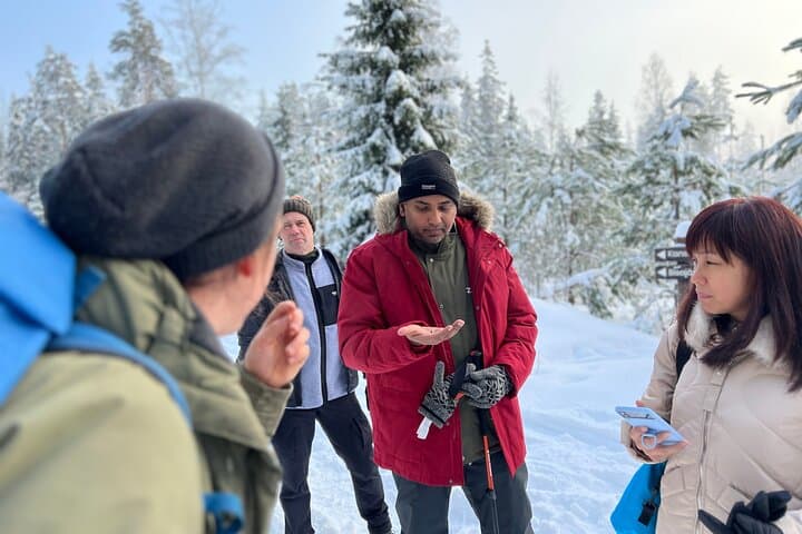 Winter Wonderland Hike to Liesjärvi National Park — Day Trip from Helsinki