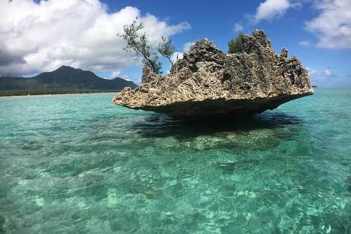Eco-Friendly Dolphin Encounter and Benitier Island Barbecue from Le Morne photo 6