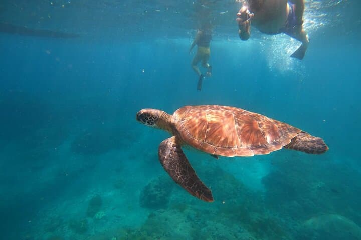 Private Snorkeling in Nusa Penida: Manta Bay, Gamat Bay & Crystal Bay photo 1