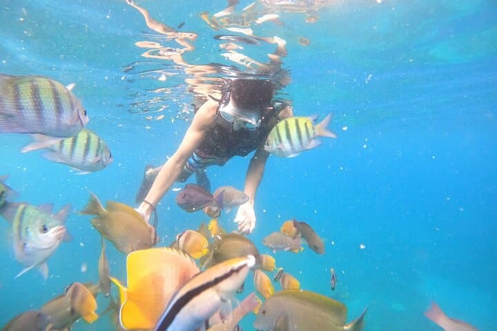 Private Snorkeling in Nusa Penida: Manta Bay, Gamat Bay & Crystal Bay photo 3