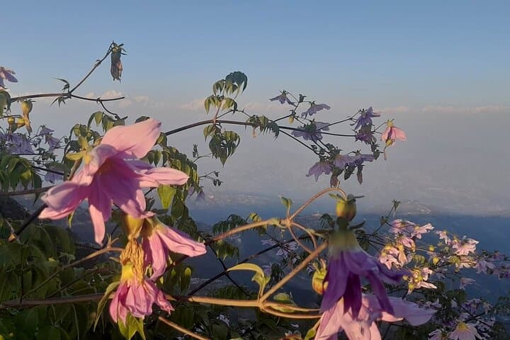 Kathmandu UNESCO Sites & Nagarkot Sunset: Boudhanath, Pashupatinath and Himalayan Views photo 4