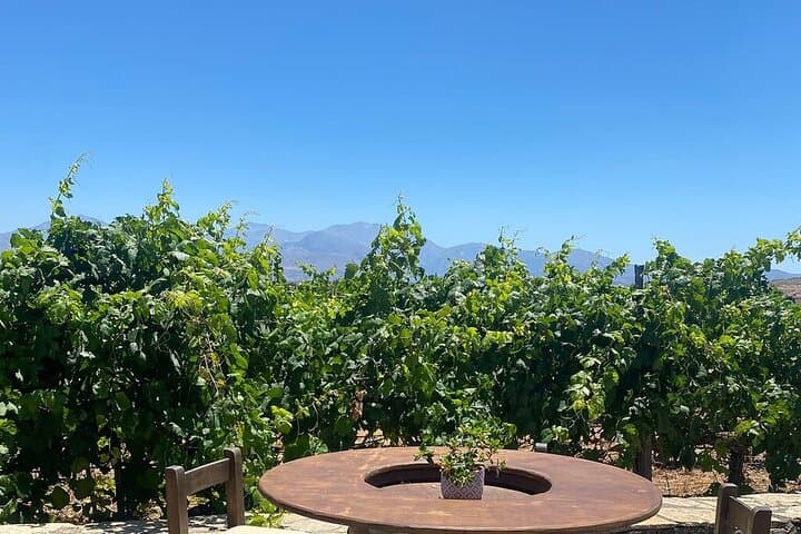 Knossos Palace and Peza Valley Winery Day Trip from Heraklion photo 5