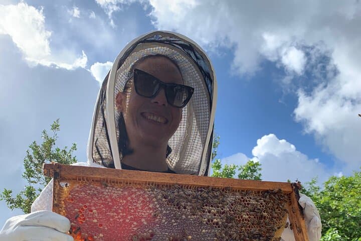Reagan’s Honey Beekeeping Adventure — Grand Cayman Apiary Tour & Honey Harvest