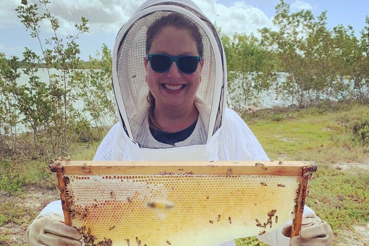 Reagan’s Honey Beekeeping Adventure — Grand Cayman Apiary Tour & Honey Harvest photo 2