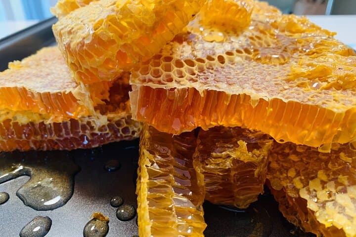 Reagan’s Honey Beekeeping Adventure — Grand Cayman Apiary Tour & Honey Harvest photo 3