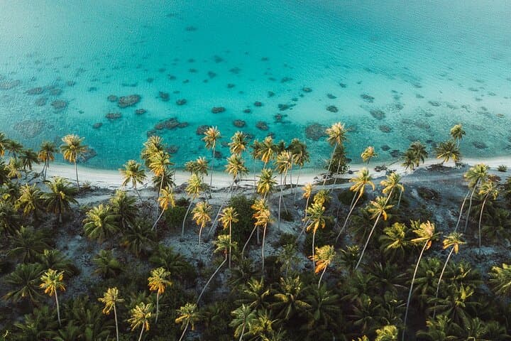 Punta Cana Quad Adventure: Beaches, Dunes & Mountain Swings photo 3