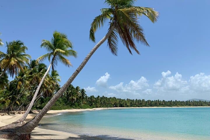Punta Cana Quad Adventure: Beaches, Dunes & Mountain Swings photo 6